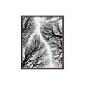 Picture of Web of Trees _GroupedProduct_Rectangle_Portrait_Photography _GroupedProduct_Rectangle_Portrait_Canvas_Framed_