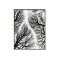 Picture of Web of Trees _GroupedProduct_Rectangle_Portrait_Photography _GroupedProduct_Rectangle_Portrait_Canvas_Framed_