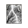 Picture of Web of Trees _GroupedProduct_Rectangle_Portrait_Photography _GroupedProduct_Rectangle_Portrait_Canvas_Framed_