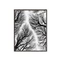 Picture of Web of Trees _GroupedProduct_Rectangle_Portrait_Photography _GroupedProduct_Rectangle_Portrait_Canvas_Framed_
