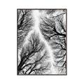 Picture of Web of Trees _GroupedProduct_Rectangle_Portrait_Photography _GroupedProduct_Rectangle_Portrait_Canvas_Framed_