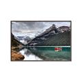 Picture of The Great OUtdoors _GroupedProduct_Rectangle_Landscape_Photography _GroupedProduct_Rectangle_Landscape_Canvas_Framed_