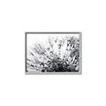 Picture of Dandilion bliss _GroupedProduct_Rectangle_Landscape_Photography _GroupedProduct_Rectangle_Landscape_Canvas_Framed_