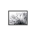 Picture of Dandilion bliss _GroupedProduct_Rectangle_Landscape_Photography _GroupedProduct_Rectangle_Landscape_Canvas_Framed_