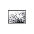 Picture of Dandilion bliss _GroupedProduct_Rectangle_Landscape_Photography _GroupedProduct_Rectangle_Landscape_Canvas_Framed_