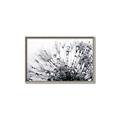 Picture of Dandilion bliss _GroupedProduct_Rectangle_Landscape_Photography _GroupedProduct_Rectangle_Landscape_Canvas_Framed_