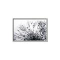 Picture of Dandilion bliss _GroupedProduct_Rectangle_Landscape_Photography _GroupedProduct_Rectangle_Landscape_Canvas_Framed_