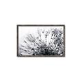 Picture of Dandilion bliss _GroupedProduct_Rectangle_Landscape_Photography _GroupedProduct_Rectangle_Landscape_Canvas_Framed_