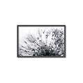 Picture of Dandilion bliss _GroupedProduct_Rectangle_Landscape_Photography _GroupedProduct_Rectangle_Landscape_Canvas_Framed_