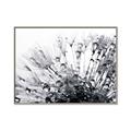 Picture of Dandilion bliss _GroupedProduct_Rectangle_Landscape_Photography _GroupedProduct_Rectangle_Landscape_Canvas_Framed_