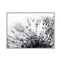 Picture of Dandilion bliss _GroupedProduct_Rectangle_Landscape_Photography _GroupedProduct_Rectangle_Landscape_Canvas_Framed_