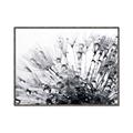 Picture of Dandilion bliss _GroupedProduct_Rectangle_Landscape_Photography _GroupedProduct_Rectangle_Landscape_Canvas_Framed_