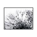 Picture of Dandilion bliss _GroupedProduct_Rectangle_Landscape_Photography _GroupedProduct_Rectangle_Landscape_Canvas_Framed_