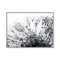 Picture of Dandilion bliss _GroupedProduct_Rectangle_Landscape_Photography _GroupedProduct_Rectangle_Landscape_Canvas_Framed_