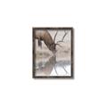 Picture of Elk in the Wild _GroupedProduct_Rectangle_Portrait_Photography _GroupedProduct_Rectangle_Portrait_Canvas_Framed_