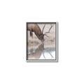 Picture of Elk in the Wild _GroupedProduct_Rectangle_Portrait_Photography _GroupedProduct_Rectangle_Portrait_Canvas_Framed_