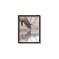 Picture of Elk in the Wild _GroupedProduct_Rectangle_Portrait_Photography _GroupedProduct_Rectangle_Portrait_Canvas_Framed_
