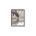 Picture of Elk in the Wild _GroupedProduct_Rectangle_Portrait_Photography _GroupedProduct_Rectangle_Portrait_Canvas_Framed_