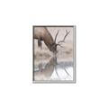 Picture of Elk in the Wild _GroupedProduct_Rectangle_Portrait_Photography _GroupedProduct_Rectangle_Portrait_Canvas_Framed_