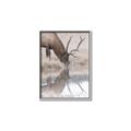 Picture of Elk in the Wild _GroupedProduct_Rectangle_Portrait_Photography _GroupedProduct_Rectangle_Portrait_Canvas_Framed_