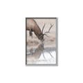 Picture of Elk in the Wild _GroupedProduct_Rectangle_Portrait_Photography _GroupedProduct_Rectangle_Portrait_Canvas_Framed_