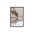 Picture of Elk in the Wild _GroupedProduct_Rectangle_Portrait_Photography _GroupedProduct_Rectangle_Portrait_Canvas_Framed_