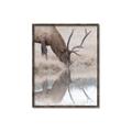 Picture of Elk in the Wild _GroupedProduct_Rectangle_Portrait_Photography _GroupedProduct_Rectangle_Portrait_Canvas_Framed_
