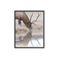 Picture of Elk in the Wild _GroupedProduct_Rectangle_Portrait_Photography _GroupedProduct_Rectangle_Portrait_Canvas_Framed_