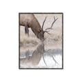 Picture of Elk in the Wild _GroupedProduct_Rectangle_Portrait_Photography _GroupedProduct_Rectangle_Portrait_Canvas_Framed_