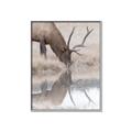 Picture of Elk in the Wild _GroupedProduct_Rectangle_Portrait_Photography _GroupedProduct_Rectangle_Portrait_Canvas_Framed_