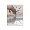 Picture of Elk in the Wild _GroupedProduct_Rectangle_Portrait_Photography _GroupedProduct_Rectangle_Portrait_Canvas_Framed_