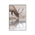 Picture of Elk in the Wild _GroupedProduct_Rectangle_Portrait_Photography _GroupedProduct_Rectangle_Portrait_Canvas_Framed_
