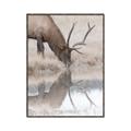 Picture of Elk in the Wild _GroupedProduct_Rectangle_Portrait_Photography _GroupedProduct_Rectangle_Portrait_Canvas_Framed_