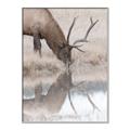 Picture of Elk in the Wild _GroupedProduct_Rectangle_Portrait_Photography _GroupedProduct_Rectangle_Portrait_Canvas_Framed_