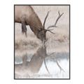 Picture of Elk in the Wild _GroupedProduct_Rectangle_Portrait_Photography _GroupedProduct_Rectangle_Portrait_Canvas_Framed_