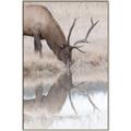 Picture of Elk in the Wild _GroupedProduct_Rectangle_Portrait_Photography _GroupedProduct_Rectangle_Portrait_Canvas_Framed_