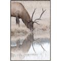 Picture of Elk in the Wild _GroupedProduct_Rectangle_Portrait_Photography _GroupedProduct_Rectangle_Portrait_Canvas_Framed_
