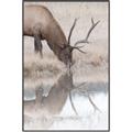 Picture of Elk in the Wild _GroupedProduct_Rectangle_Portrait_Photography _GroupedProduct_Rectangle_Portrait_Canvas_Framed_