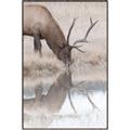 Picture of Elk in the Wild _GroupedProduct_Rectangle_Portrait_Photography _GroupedProduct_Rectangle_Portrait_Canvas_Framed_