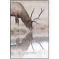 Picture of Elk in the Wild _GroupedProduct_Rectangle_Portrait_Photography _GroupedProduct_Rectangle_Portrait_Canvas_Framed_