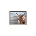 Picture of Furry highland cow _GroupedProduct_Rectangle_Landscape_Photography _GroupedProduct_Rectangle_Landscape_Canvas_Framed_