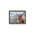 Picture of Furry highland cow _GroupedProduct_Rectangle_Landscape_Photography _GroupedProduct_Rectangle_Landscape_Canvas_Framed_