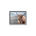 Picture of Furry highland cow _GroupedProduct_Rectangle_Landscape_Photography _GroupedProduct_Rectangle_Landscape_Canvas_Framed_