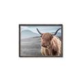 Picture of Furry highland cow _GroupedProduct_Rectangle_Landscape_Photography _GroupedProduct_Rectangle_Landscape_Canvas_Framed_