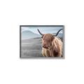Picture of Furry highland cow _GroupedProduct_Rectangle_Landscape_Photography _GroupedProduct_Rectangle_Landscape_Canvas_Framed_