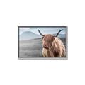 Picture of Furry highland cow _GroupedProduct_Rectangle_Landscape_Photography _GroupedProduct_Rectangle_Landscape_Canvas_Framed_