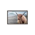 Picture of Furry highland cow _GroupedProduct_Rectangle_Landscape_Photography _GroupedProduct_Rectangle_Landscape_Canvas_Framed_