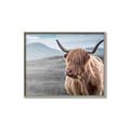 Picture of Furry highland cow _GroupedProduct_Rectangle_Landscape_Photography _GroupedProduct_Rectangle_Landscape_Canvas_Framed_