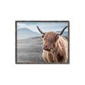 Picture of Furry highland cow _GroupedProduct_Rectangle_Landscape_Photography _GroupedProduct_Rectangle_Landscape_Canvas_Framed_