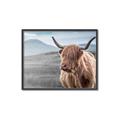 Picture of Furry highland cow _GroupedProduct_Rectangle_Landscape_Photography _GroupedProduct_Rectangle_Landscape_Canvas_Framed_